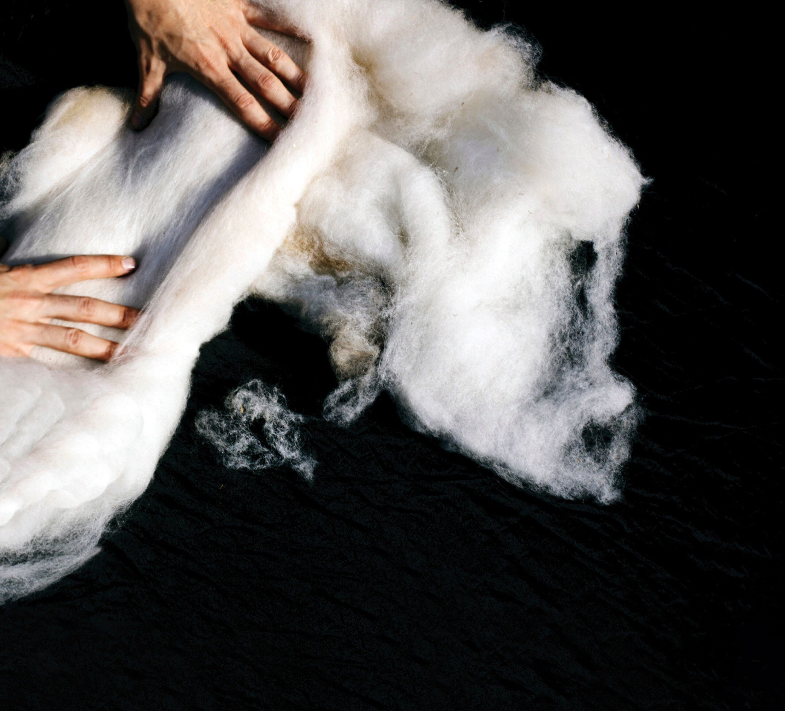 COUETTE-BLACK_rz copy