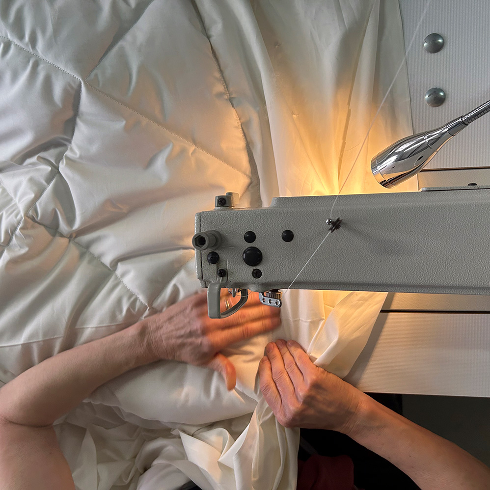 Machine à coudre Eraen